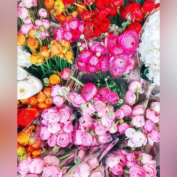 Meet your Posher, Claudia - Picture 3 of 4